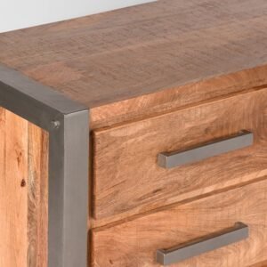 Karmaindika_Tv-furniture 2 drawer_1 Door Rough Mango wood 2